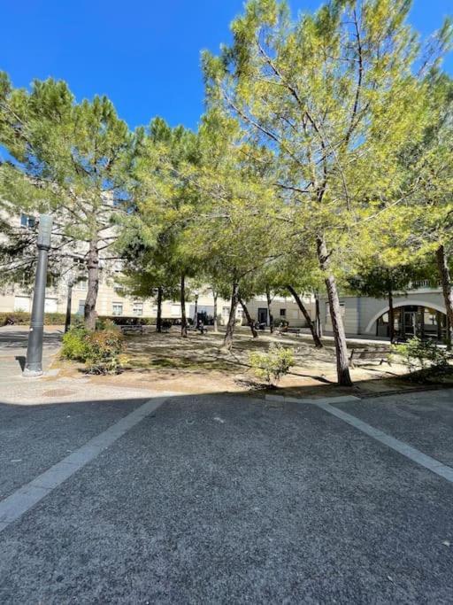 Petit Nid Douillet - Studio - Rives Du Lez - Wifi Apartment Montpellier Ngoại thất bức ảnh